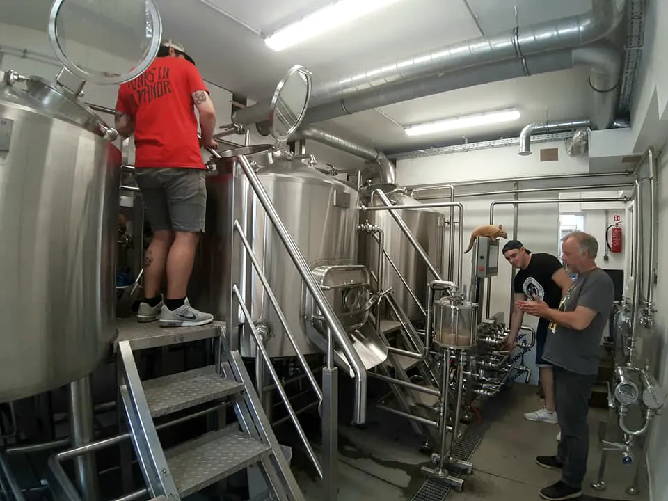 Stainless steel fermentation tanks of Misery Beer 5HL brewery