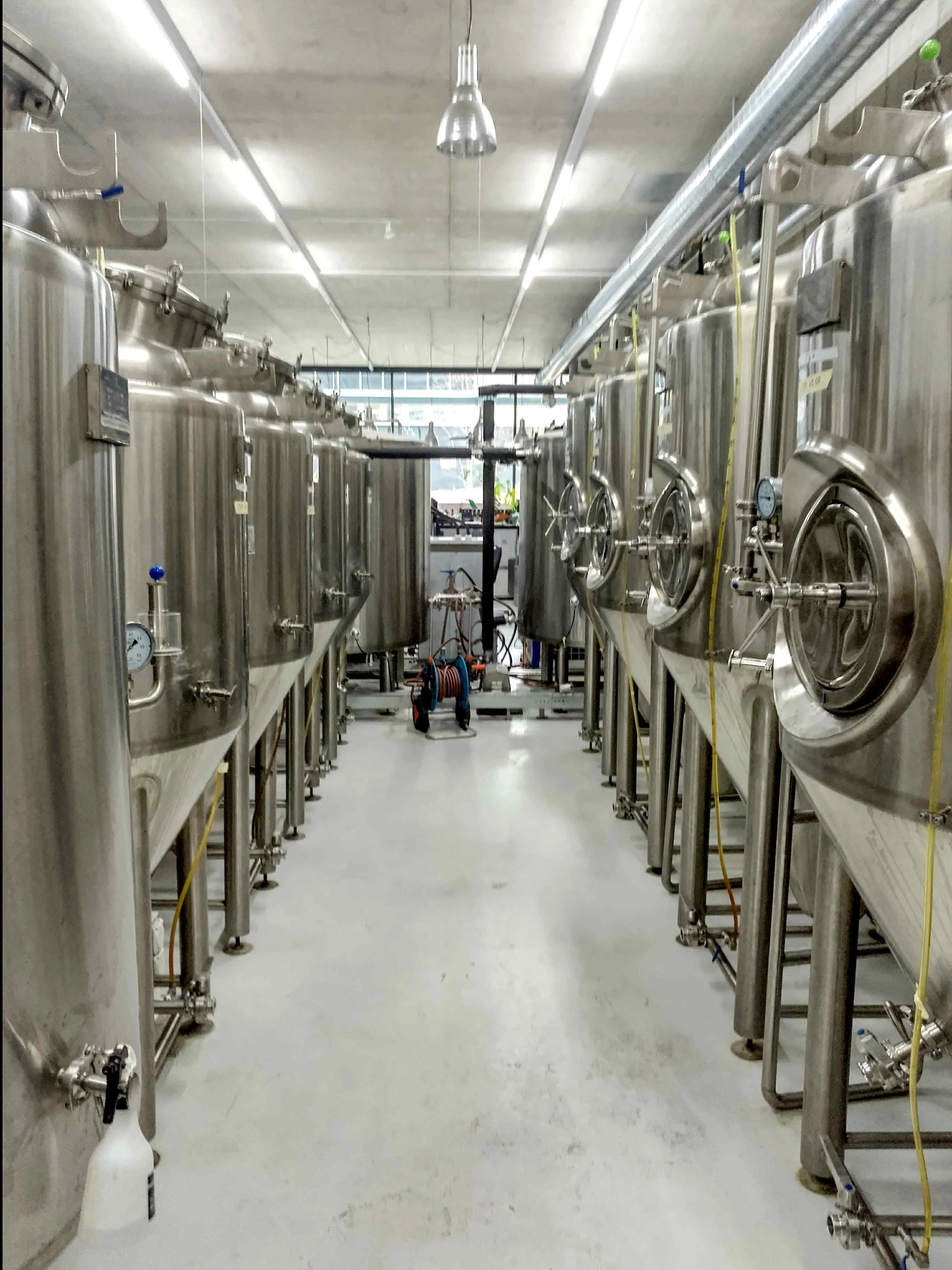 dr. brauwolf 10hl brewing system complete installation in zurich switzerland