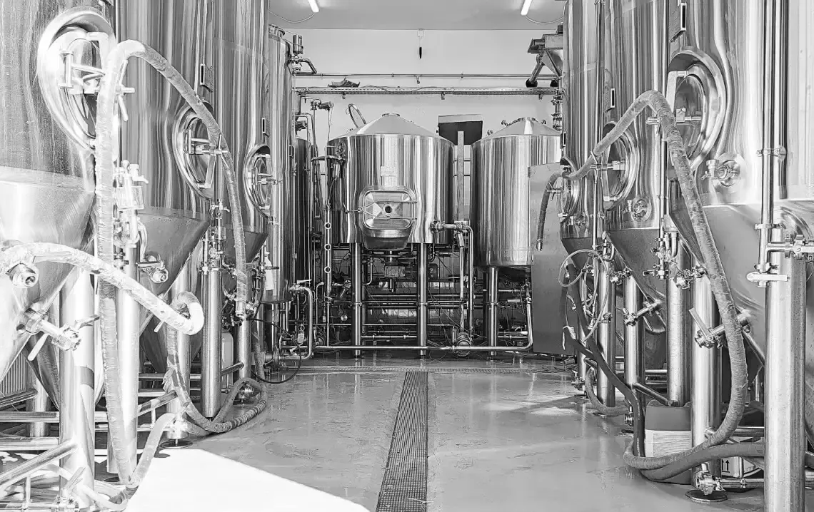 Stainless steel fermentation tanks at Deeper Roots Brewing 10HL brewery