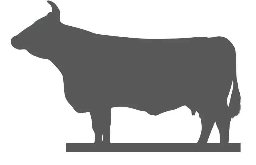 Simmentaler Braumanufaktur GmbH