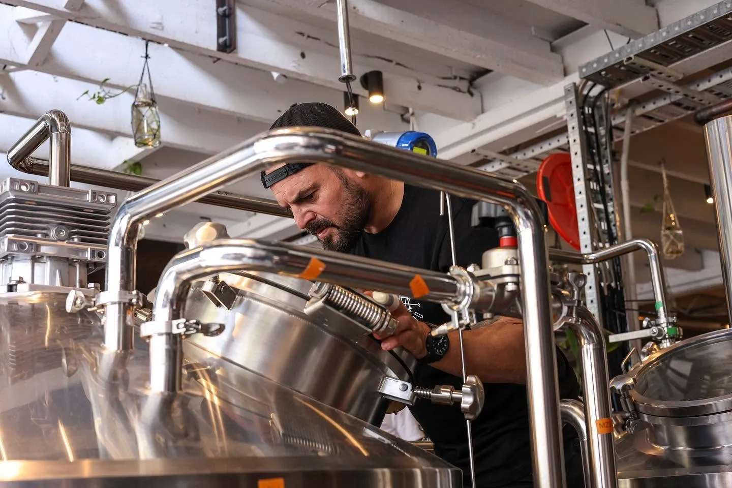 Completed installation of Milton Common 500L craft beer brewing equipment