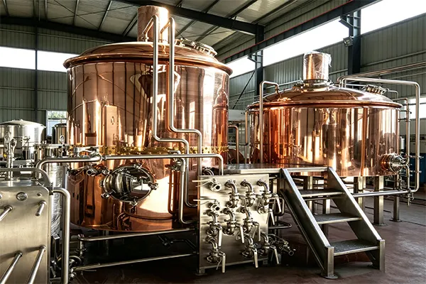 Système de brasserie de pub 10 HL installé pour Scenic Rim Brewery